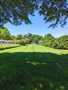 Here is a view from the carriage road beneath my allée of pin oaks. My gardens are looking stunning this spring.