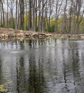 One can see the bubblers working - these provide continuous operation to maintain proper circulation through the water.