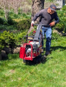 Gardener’s twine and small stakes are used to mark a guide for the motorized sod cutter. There are different types of sod cutters, but they all essentially cut grass at the roots so entire sections of sod can be removed to expose the bare ground underneath it. Phurba pushes it carefully and slowly to make sure it is following the twine.