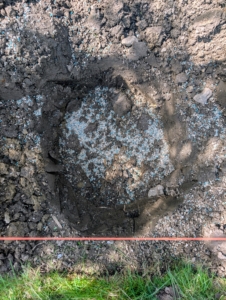 Each hole is sprinkled with a generous amount of fertilizer and then mixed in with the existing soil.