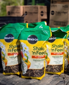 I feed with Miracle-Gro Shake 'n Feed Plant Food - a dependable fertilizer that feeds for up to three months.
