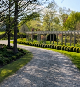 As the boxwood is planted around the curved carriage road, measuring is even more crucial. The entire process took a few days, but it looks great and will eventually match the opposite side of the carriage road nicely.