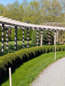 This is my winding 300-foot pergola that runs along one side of a carriage road leading to my home. It is among the first garden areas visitors see when arriving at the farm.