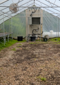 And now this hoop house is empty. It’s amazing how many plants can fit inside the durable hoop houses. I am so fortunate to be able to store all these plants during the cold season, and then enjoy them all around my farm from now until the fall.