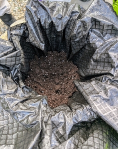 Then the container is filled two-thirds of the way up with a good quality potting soil. Using a proper soil mix will help to promote faster root growth and give quick anchorage to young roots. Here is the inside of the urn. One can always add more soil later if needed. I use Miracle-Gro potting mix.