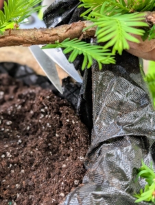 And then cuts off the excess weed cloth. Any cloth that can be seen afterward can be tucked into the soil.