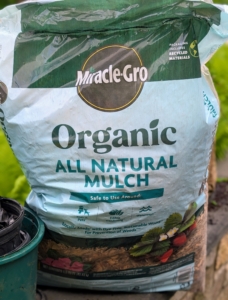 Miracle-Gro makes an organic variety that is available at garden stores.
