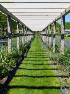 The uprights for this pergola are antique granite posts from China – originally used as grape supports in a valley that was going to be dammed and flooded to create a reservoir. The cedar rafters were just replaced earlier this year.