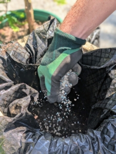 Fertilizer is also added to the soil. This is Miracle-Gro Shake ‘n Feed, an easy to use plant food that nourishes above and below the soil.