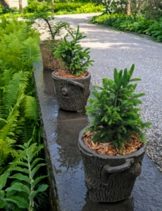 Using potted plants to decorate the outside of one’s home can totally transform a space. These plants will thrive in this location.