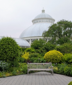 This is the magnificent Enid A. Haupt Conservatory, where many of the indoor plant exhibitions are held. As the nation’s largest Victorian glasshouse, it is among the grandest indoor spaces in the world.
