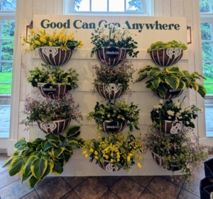Our friends at Miracle-Gro showcased beautiful plants for an interesting green backdrop where guests could take photos for social media.