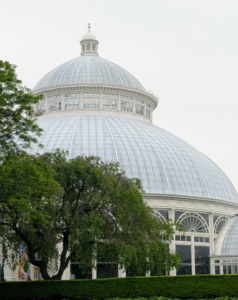 The New York Botanical Garden is a National Historic Landmark set on 250-acres of land with more than one-million living plants included in its extensive collections. If you are ever in the New York City area, I encourage you to pay a visit – its gardens and collections are stunning. I was so happy to be able to do my first-ever LIVE podcast from the NYBG.