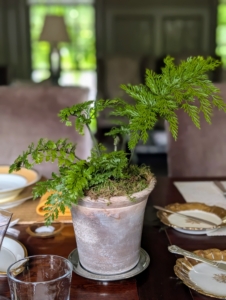 Potted plants from my greenhouse lined the center of the table.
