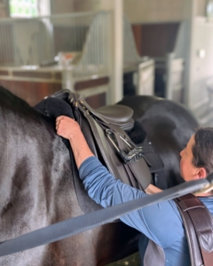 Next, Helen places the new saddle on Bond.
