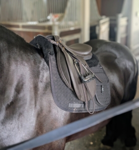 The front of the saddle should sit behind the shoulders, allowing good swing motion. The back of the saddle should also be the right length. And the saddle itself should rest nicely on the back.