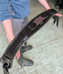 The girth strap is also an important piece of equestrian equipment. It is attached to the saddle and encircles the horse's underside securing the saddle in place.