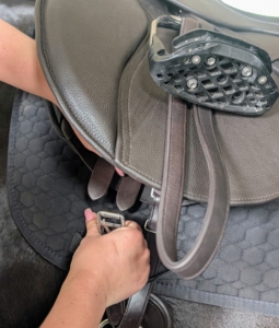 The straps should be secured equally on both sides of the horse, so the saddle sits centered on top.