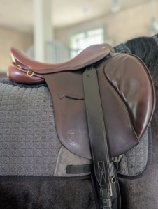 I've used Freedman's saddles for years. This is an older model saddle. It is at least 15-years old and is still in excellent condition.