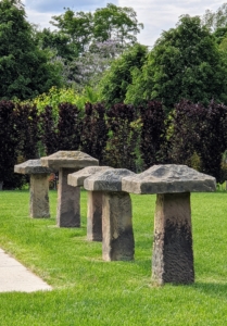 At one end of the pool, I have these five antique staddle stones.