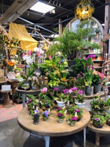 Terrain sells a variety of plants, including potted houseplants, shrubs, fruiting trees, and fresh flowers. They also carry gardening supplies and other interesting gifts.