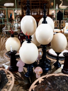 The group admired these giant ostrich eggs...