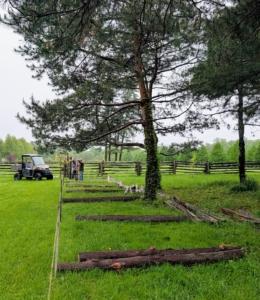 Stakes and landscape twine were secured to make sure the fence was perfectly in line with the adjacent pasture.