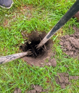 Each hole is more than three feet deep. The new posts will be very secure here – and no cement is needed.