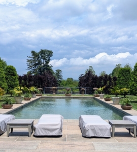 After the pergola - the pool. Here, the group learned about the staddle stones at the far end, which were originally used in the 17th and 18th centuries as support bases for granaries, hayricks, and game larders. They typically looked like giant stone mushrooms, but mine are square – a more rare and unique version.