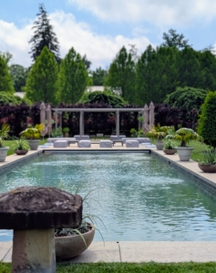 This is one of the best spots at my farm during summer – I look forward to any time I can spend by the pool. I hope this inspires you to display some potted specimens outside in your yard.