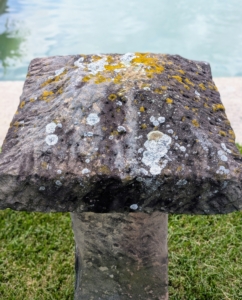 They typically looked like giant stone mushrooms, but mine are square – a more rare and unique version.
