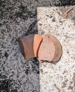 To start, Pete and Fernando cover the drainage hole of the new pot with shards. This will help with drainage and prevent soil from coming out of the pot's drainage hole.