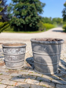 Sago palms outgrew these two pots - one is a heavy lead vessel and the other is a much more manageable and lightweight resin container. Do you know which is which?
