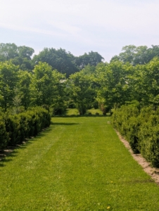 Next I had the group walk through my living maze without any assistance on how to find the way to its center. They all did very well meandering up and down the rows, looking for the right paths - there is only one correct one.