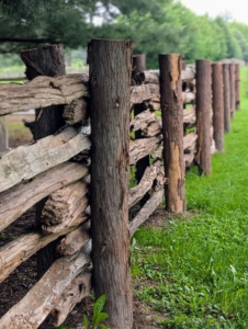 My pasture fencing is made from 100-year-old white spruce railings I purchased in Canada. I have lots of fencing here on the farm. This antique fencing surrounds all my horse paddocks and various trees. The railings are sandwiched between two cedar posts and attached to the inside of one of them. The other supports the railings from the other side.