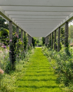 This long pergola takes on several transformations during the year. Soon this area will be filled with bright orange lilies. Just wait and see...