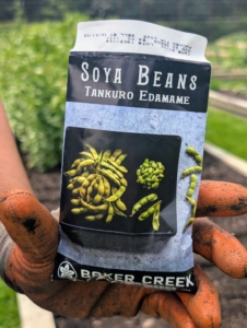 One of my go-to seed sources is Bakers Creek Heirloom Seed Company.