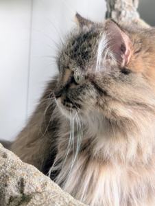 She's independent, confident, very friendly, and so far loves the attention from everyone here at the farm.