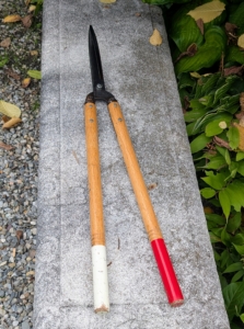 The crew does a lot of the hornbeam pruning by hand. These Japanese Okatsune shears are specially made for trimming hedges. These shears are user friendly, and come in a range of sizes.