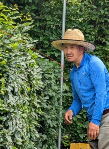 Chhiring looks carefully to make sure the twine is straight and in line with all his other markers.