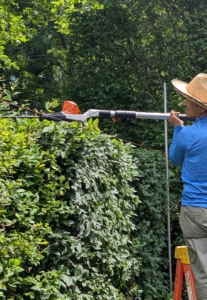 Then he uses the STIHL trimmer to cut the top. These STIHL tools are great for so many jobs around the farm.