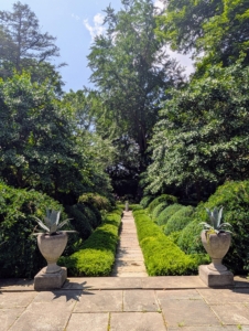 Next was my sunken Summer House garden. This garden was just a blank dirt space when I created it. The focal point was the one original giant ginkgo tree in the distance. Over time, I planted American and English boxwood, smaller ginkgo trees, smoke bushes, Siberian weeping pea shrubs, peonies, hostas, lilies, alliums, etc.
