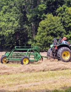 Then it is time to make the windrows, which are rows of hay raked up and shaped before being baled. The bar rake is pulled behind a tractor to make windrows from the tedded hay. The bar rake, also known as a basket rake is hydraulically driven. This rake allows for consistent movement across the fields making well-shaped windrows.