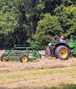 Then it is time to make the windrows, which are rows of hay raked up and shaped before being baled. The bar rake is pulled behind a tractor to make windrows from the tedded hay. The bar rake, also known as a basket rake is hydraulically driven. This rake allows for consistent movement across the fields making well-shaped windrows.