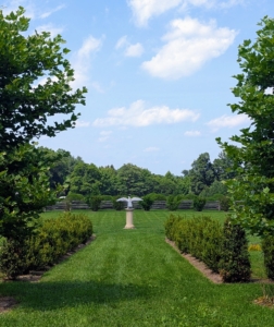 And here is where we left off last year - just a little more to go. The maze is looking so great – I am very pleased with how it is turning out. Follow my blog online and on Instagram @marthastewartblog and see all the latest updates on all my gardens at the farm.