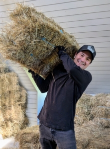 Juan is in the hayloft stacking the bales as they come up the hay elevator.