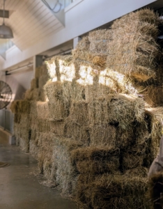 In all, I got 1037 bales of hay this time around - a good number that will last us through the season. And then come September, I'll be harvesting a second cut of good quality, nutritious hay for my horses. I'm so glad to be able to make my own hay right here at my farm.