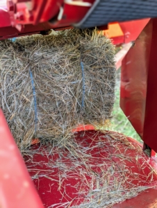 As hay is collected, a baled “square” travels up the conveyor belt. A measuring device, normally a spiked wheel that is turned by the emerging bales, measures the amount of material that is being compressed and then knotters wrap the twine around the bale and tie it off.