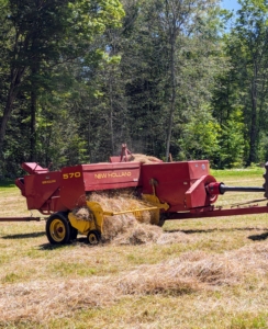 The tractor rides to one side of the windrow while the baler passes directly over it to collect the hay. All the hay is dry and passing through the machine smoothly. If the hay is properly dried, the baler will work continuously down each row. Hay that is too damp tends to clog up the baler.
