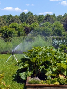 Mornings are the best times to water – when water pressure is high, evaporation is low, and the soil can absorb the water before the sun heats up the ground. The distance and spray patterns of these tripod sprinklers can also be adjusted to suit so many garden needs.